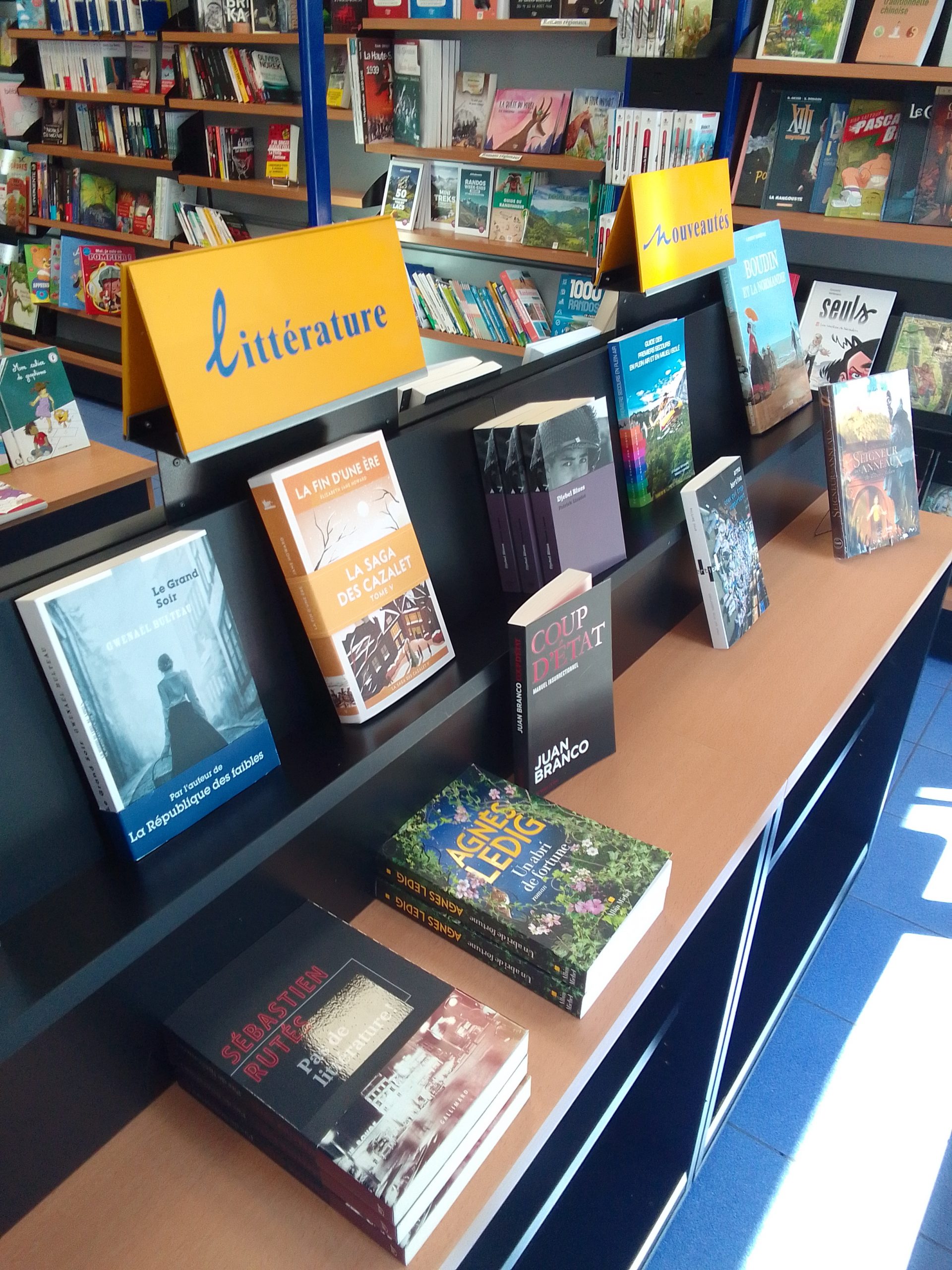 livres et beau livres annecy